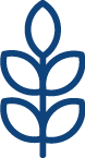 AGRO INDUSTRIA